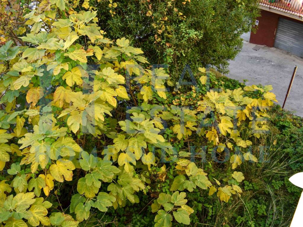Villa a Palazzolo acreide in Via Roma - Foto 5