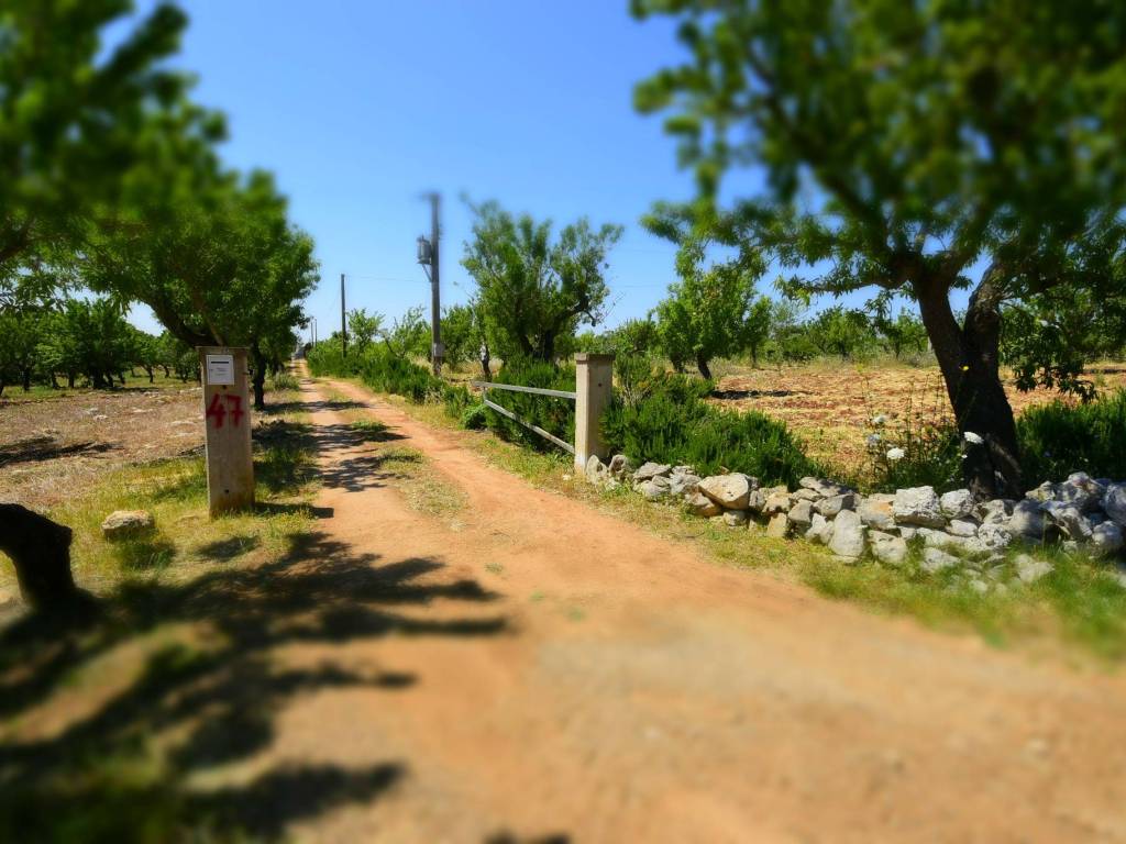 Terreno a Carovigno in SP32 - Foto 2