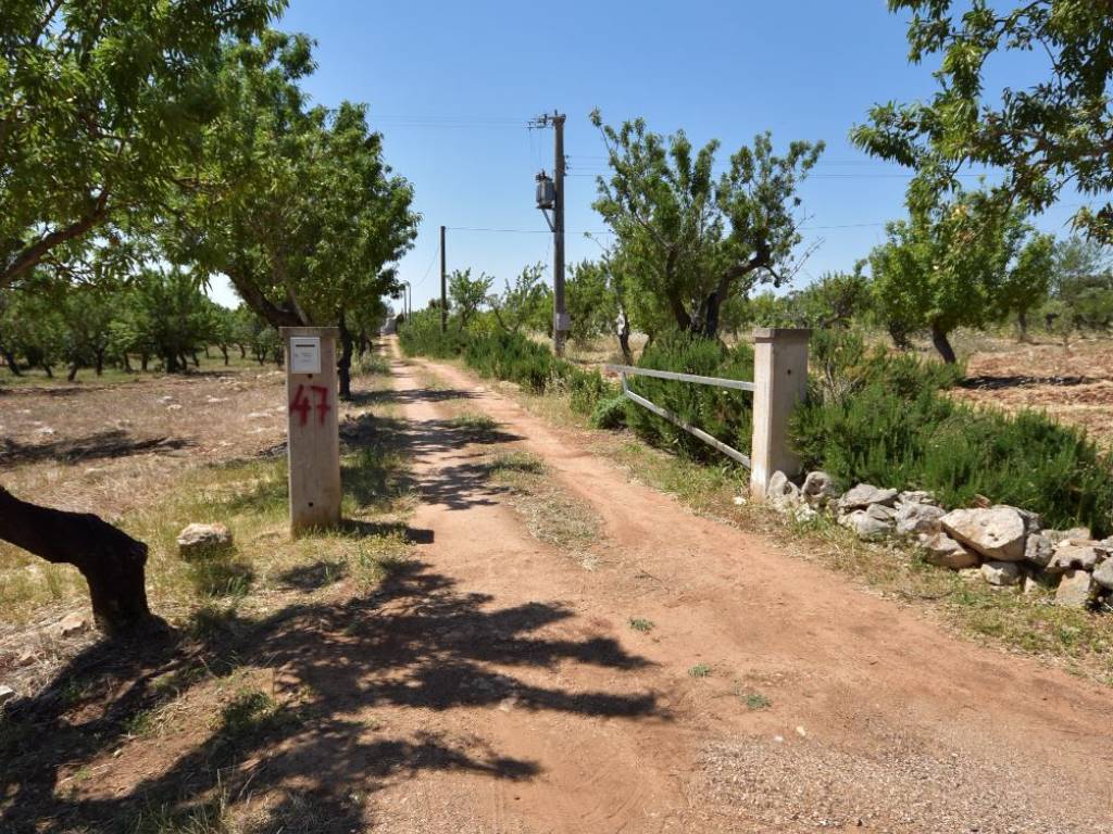 Terreno a Carovigno in SP32 - Foto 4
