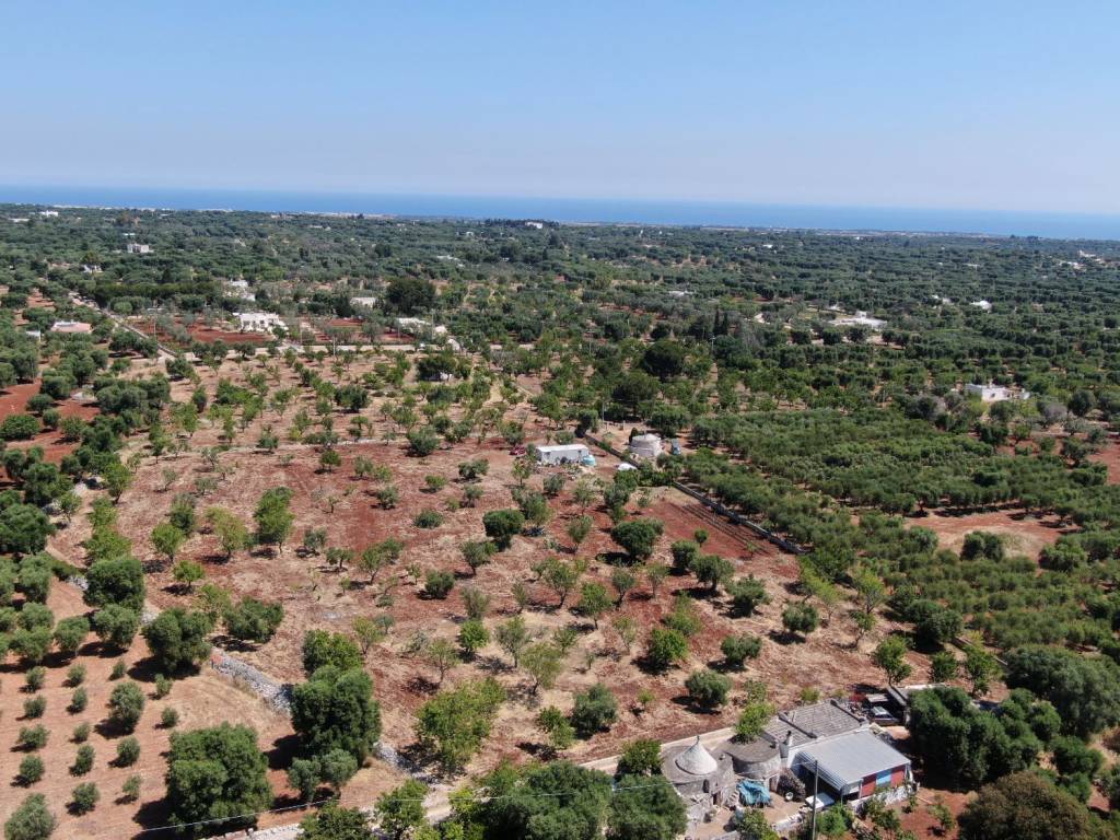 Terreno a Carovigno in SP32 - Foto 5