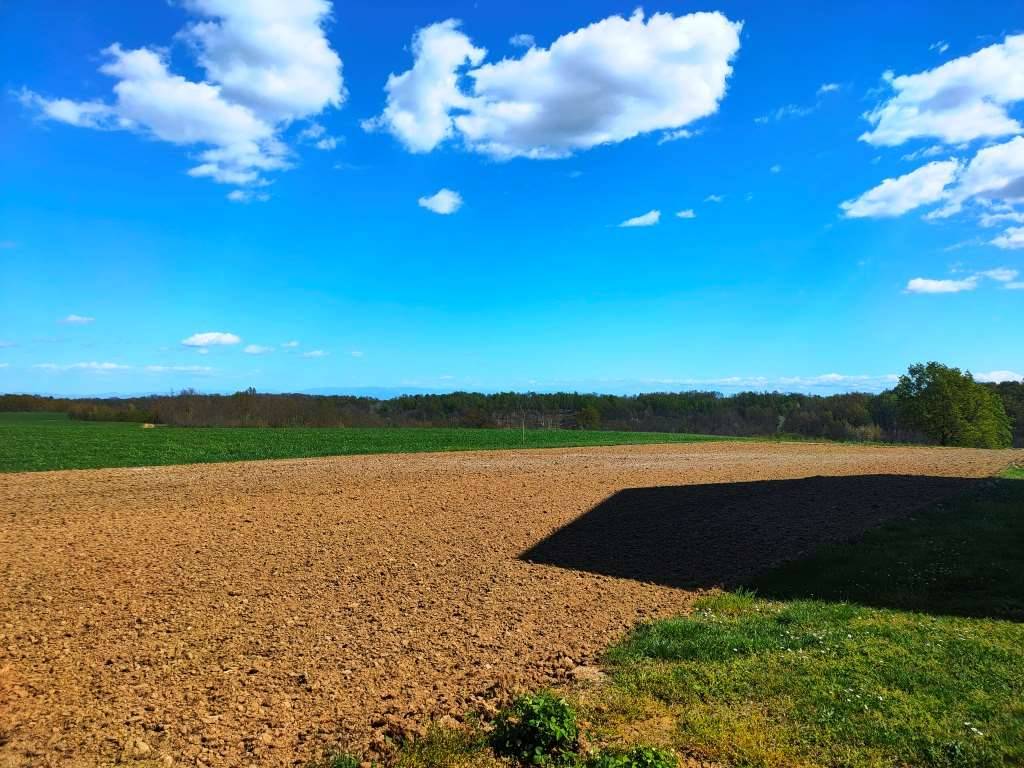 Rustico / casale a Incisa scapaccino - Foto 2