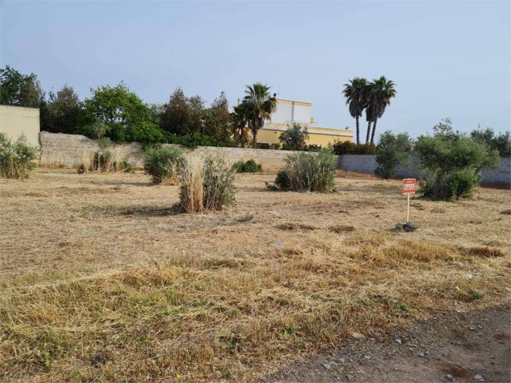 Terreno a Collepasso - Foto 2