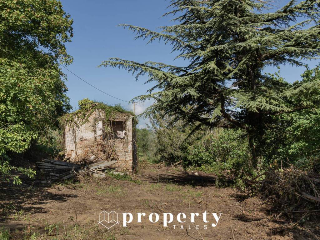 Rustico / casale a Ripatransone - Foto 4