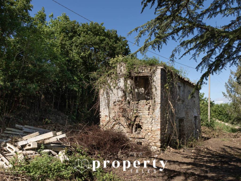 Rustico / casale a Ripatransone - Foto 5