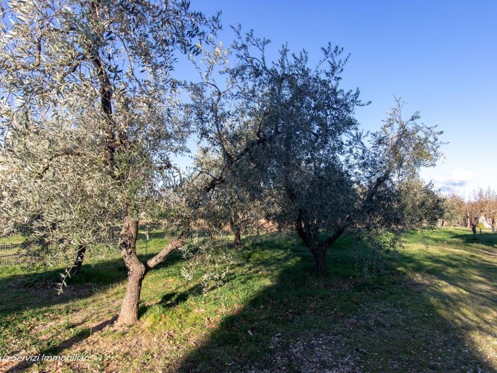 Villa a Amelia in Via Rimembranze, 8 - Foto 3
