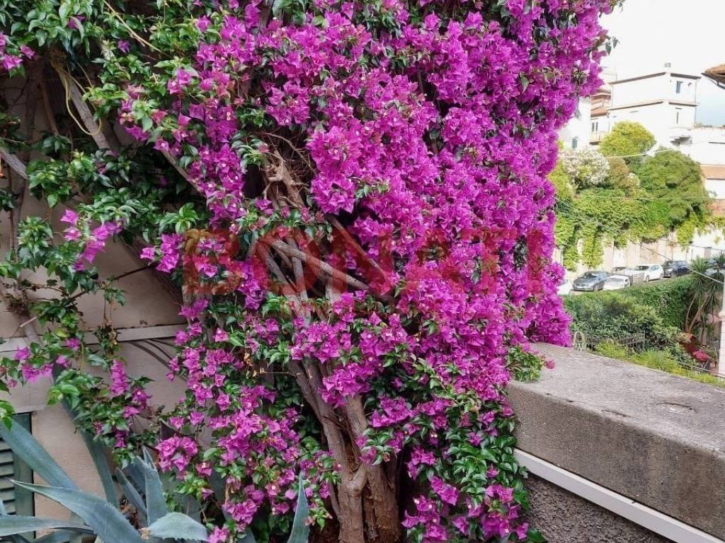 Appartamento a La spezia in Salita Vanicella, 4 - Foto 3