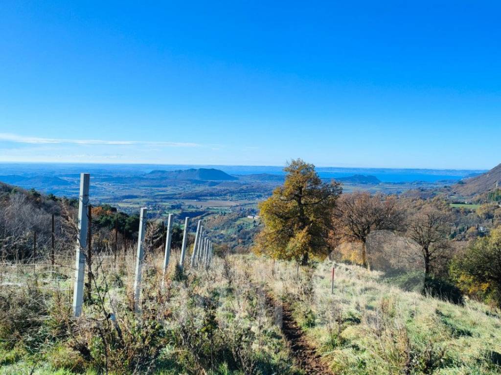 Terreno a Caprino veronese - Foto 2