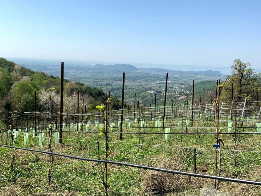 Terreno a Caprino veronese - Foto 5