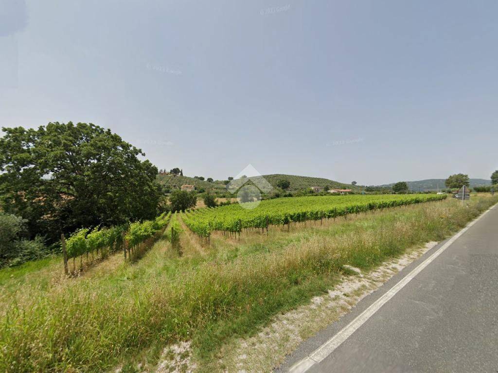 Terreno a Bevagna in Via SR316 - Foto 2