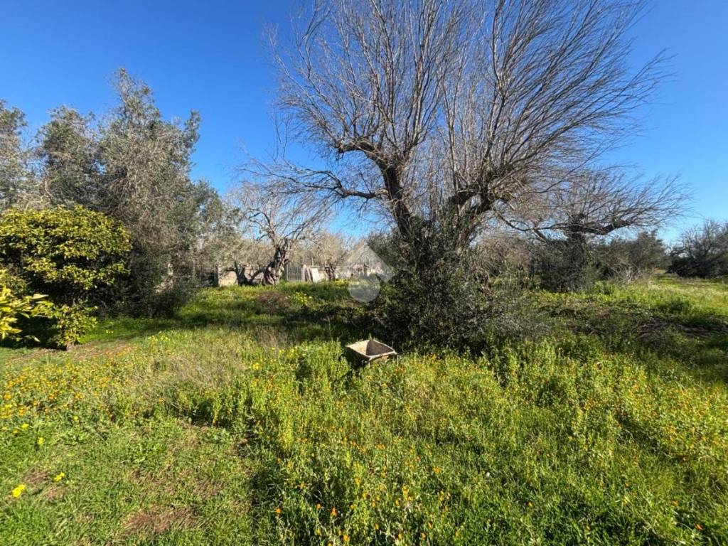 Terreno a Lecce in Via delle Tamerici, 3 - Foto 2