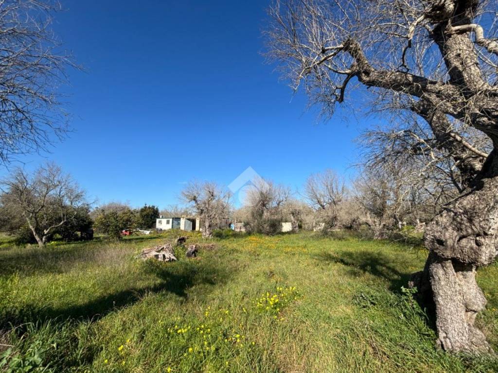 Terreno a Lecce in Via delle Tamerici, 3 - Foto 3