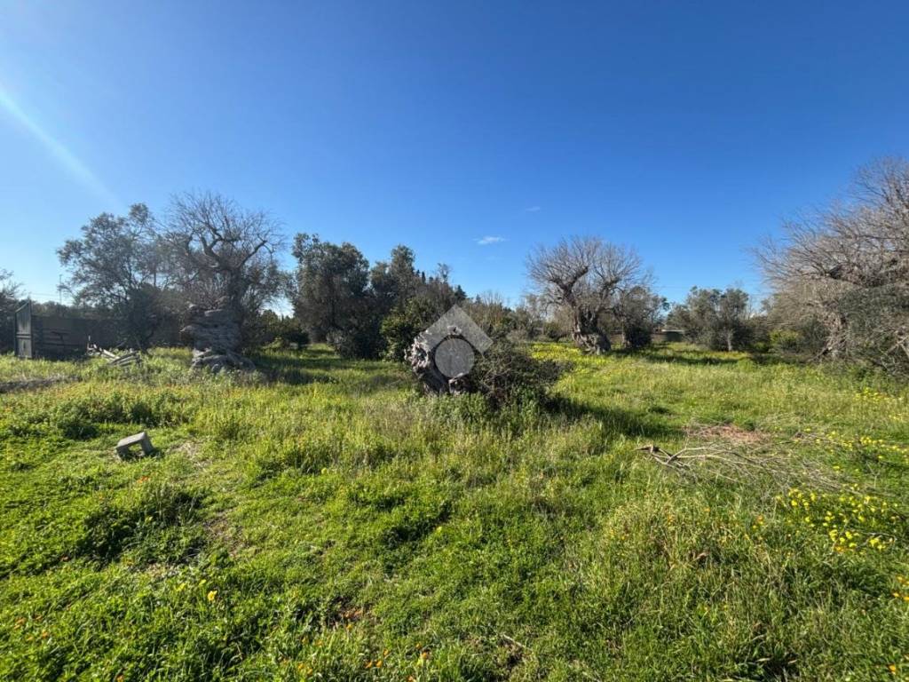 Terreno a Lecce in Via delle Tamerici, 3 - Foto 4