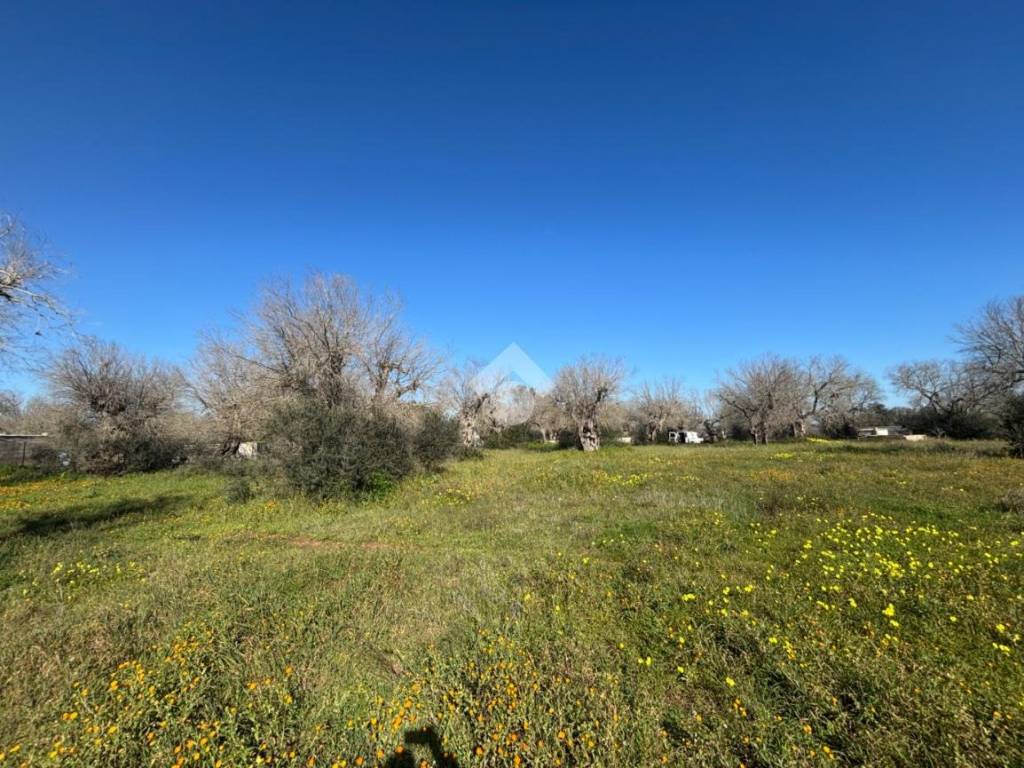 Terreno a Lecce in Via delle Tamerici, 3 - Foto 5