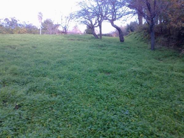 Terreno a Tropea - Foto 2