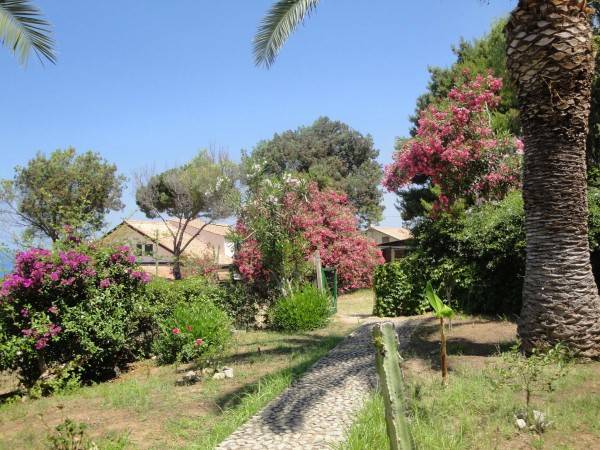 Terreno a Tropea - Foto 5