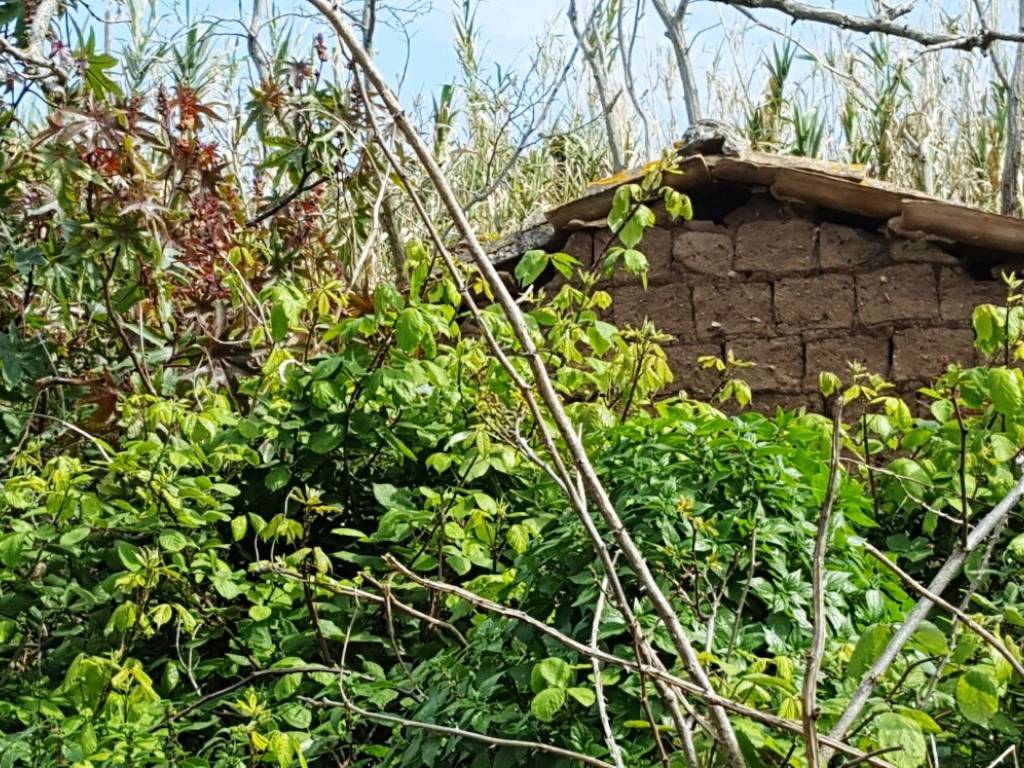 Terreno a Tropea - Foto 3