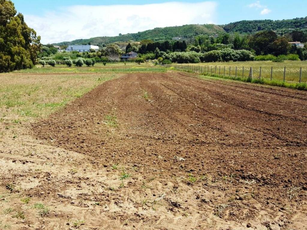 Terreno a Tropea - Foto 4