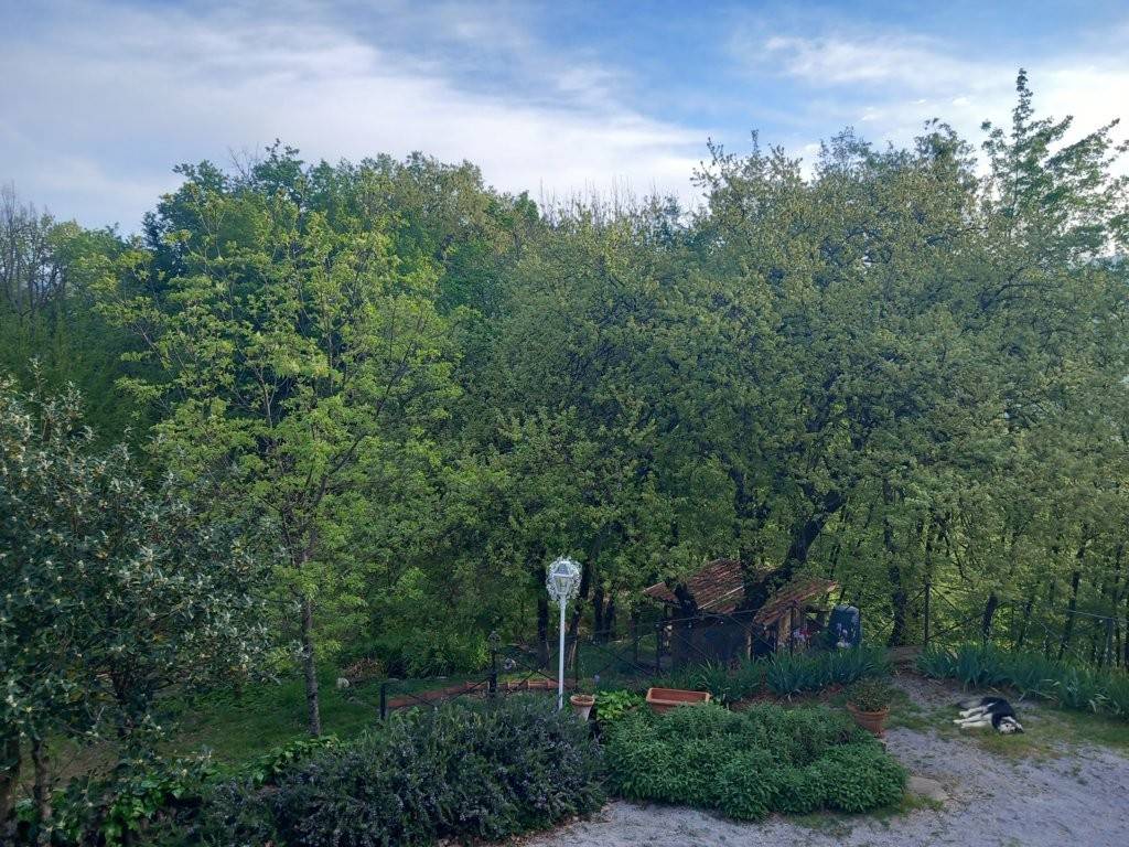 Villa a Vaiano in Via della Collina - Foto 5