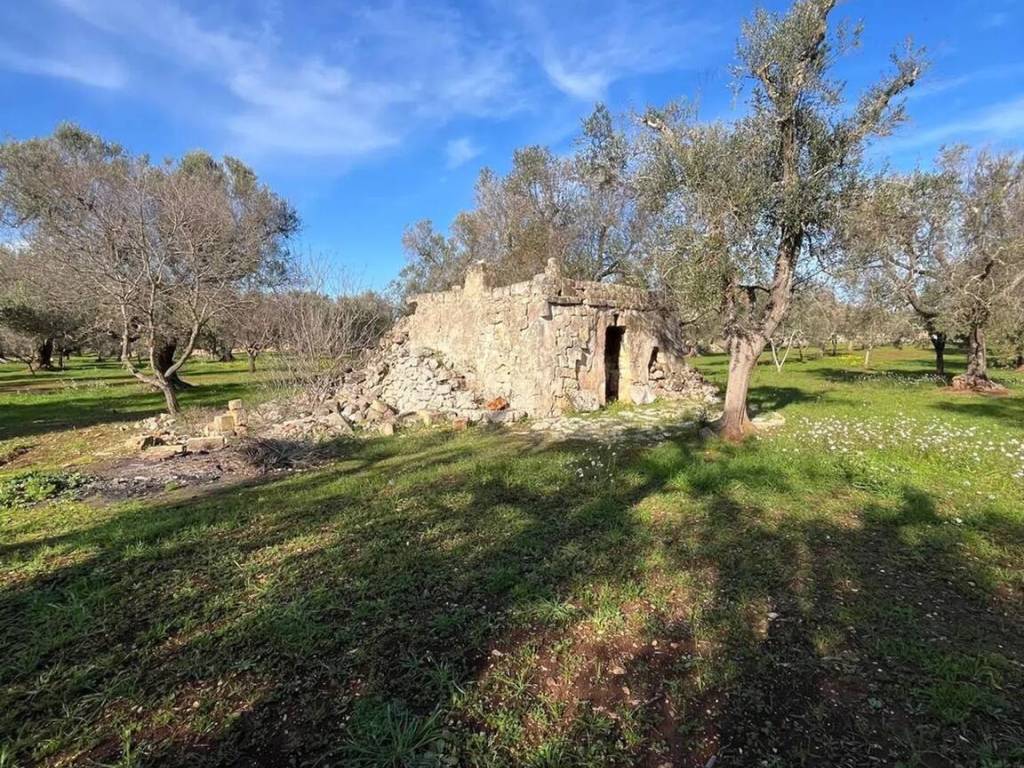 Rustico / casale a San vito dei normanni in Contrada Ajeni - Foto 3