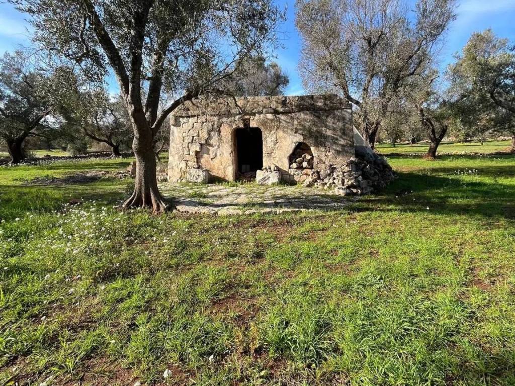 Rustico / casale a San vito dei normanni in Contrada Ajeni - Foto 4