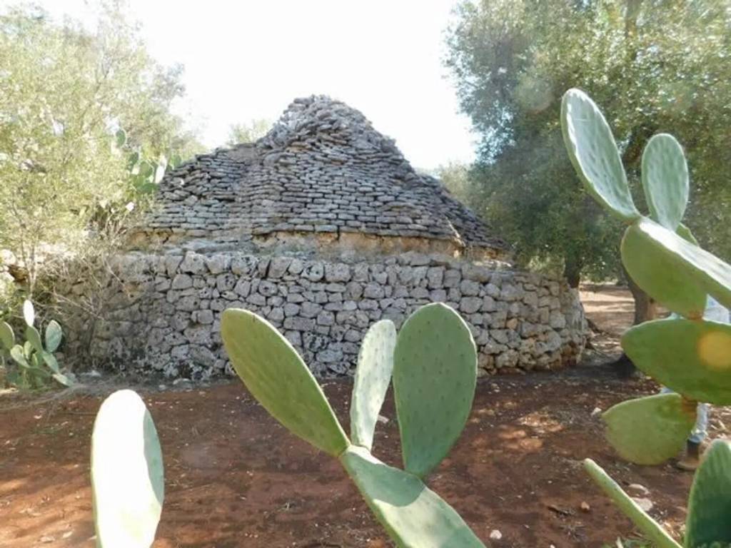Rustico / casale a Ceglie messapica in Contrada Natalicchio - Foto 3
