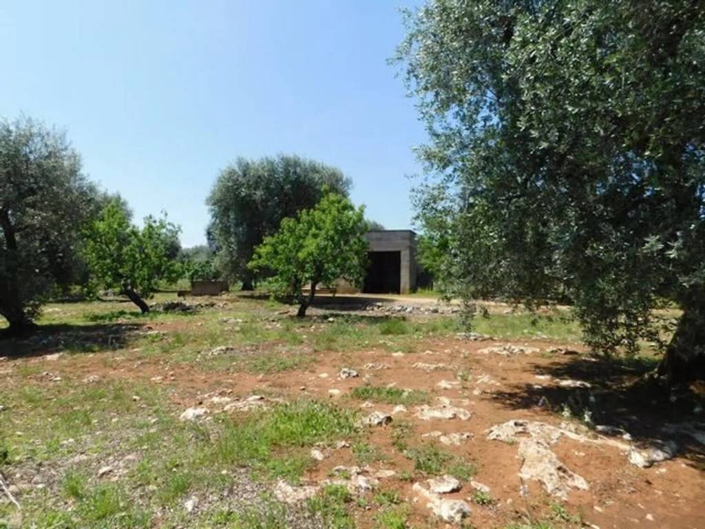 Rustico / casale a Ceglie messapica in Contrada Spadalonga - Foto 2