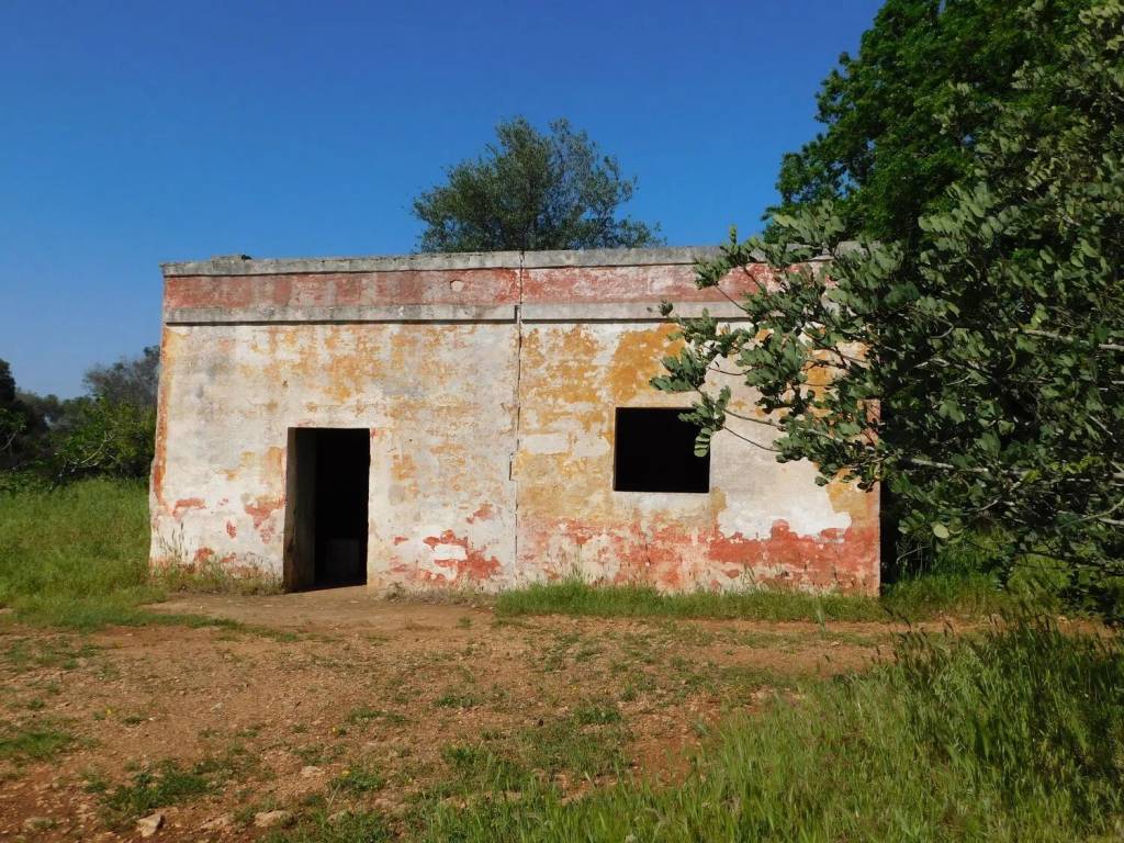 Rustico / casale a Ceglie messapica in Contrada Casamassima - Foto 3
