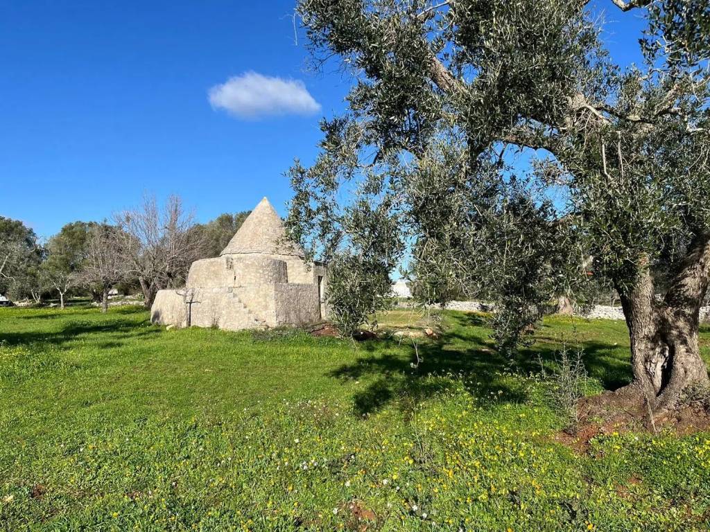 Rustico / casale a San vito dei normanni in Parco Grande - Foto 3