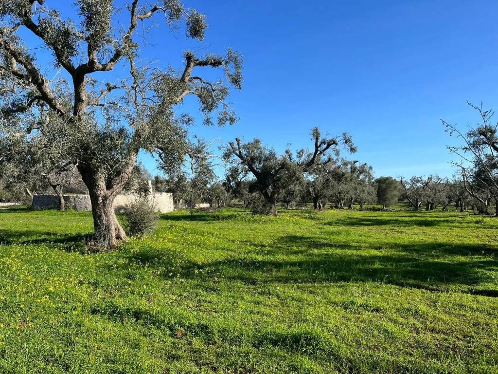 Rustico / casale a San vito dei normanni in Parco Grande - Foto 5