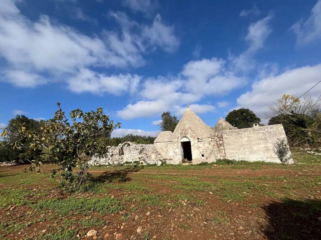 Rustico / casale a Ceglie messapica in Contrada Pisciacalze - Foto 4
