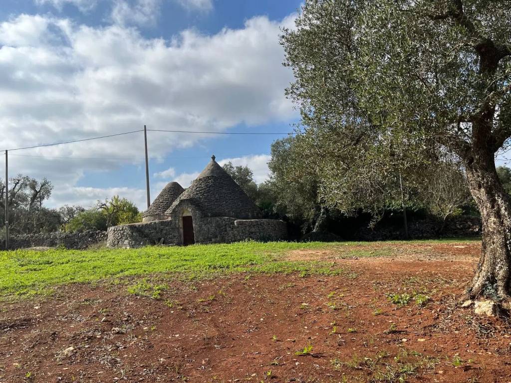 Rustico / casale a Ceglie messapica in Sp23 - Foto 2