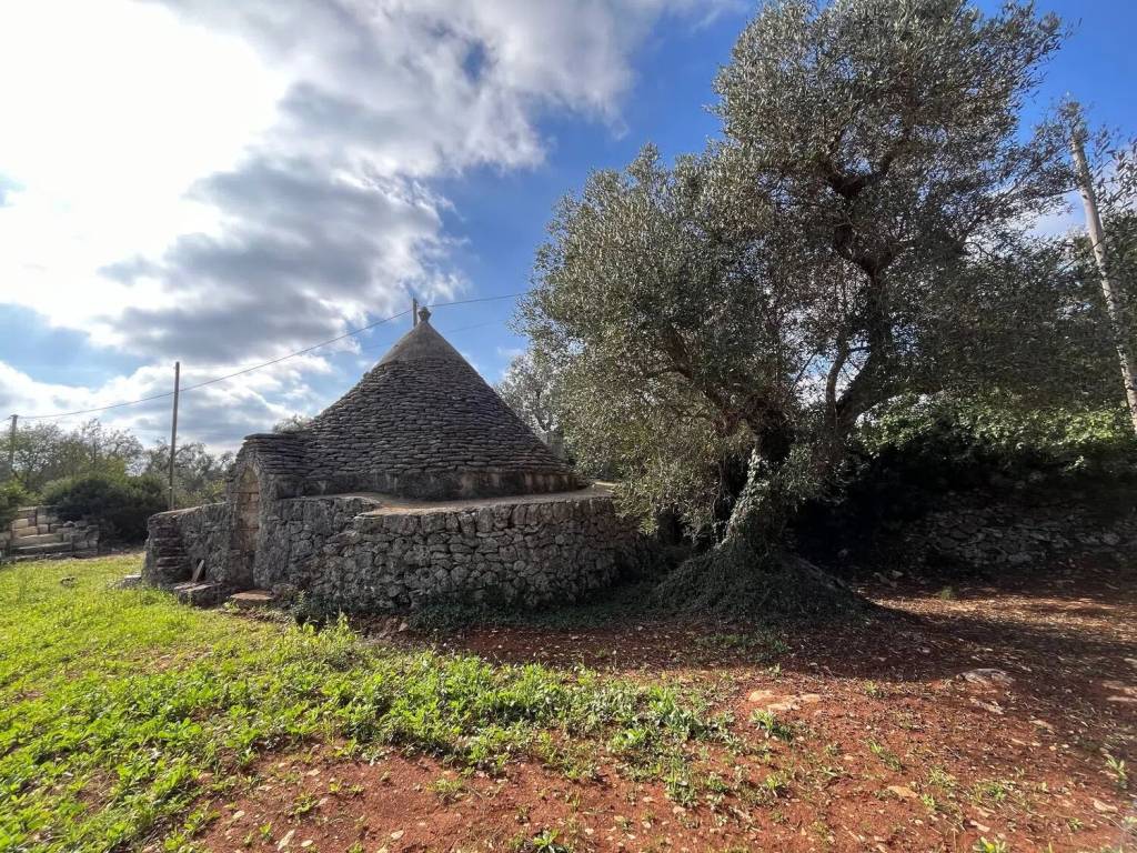 Rustico / casale a Ceglie messapica in Sp23 - Foto 4