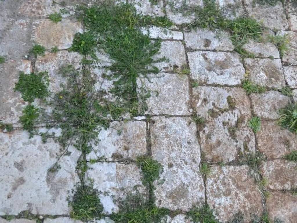 Rustico / casale a Ceglie messapica in Contrada Natalicchio - Foto 3