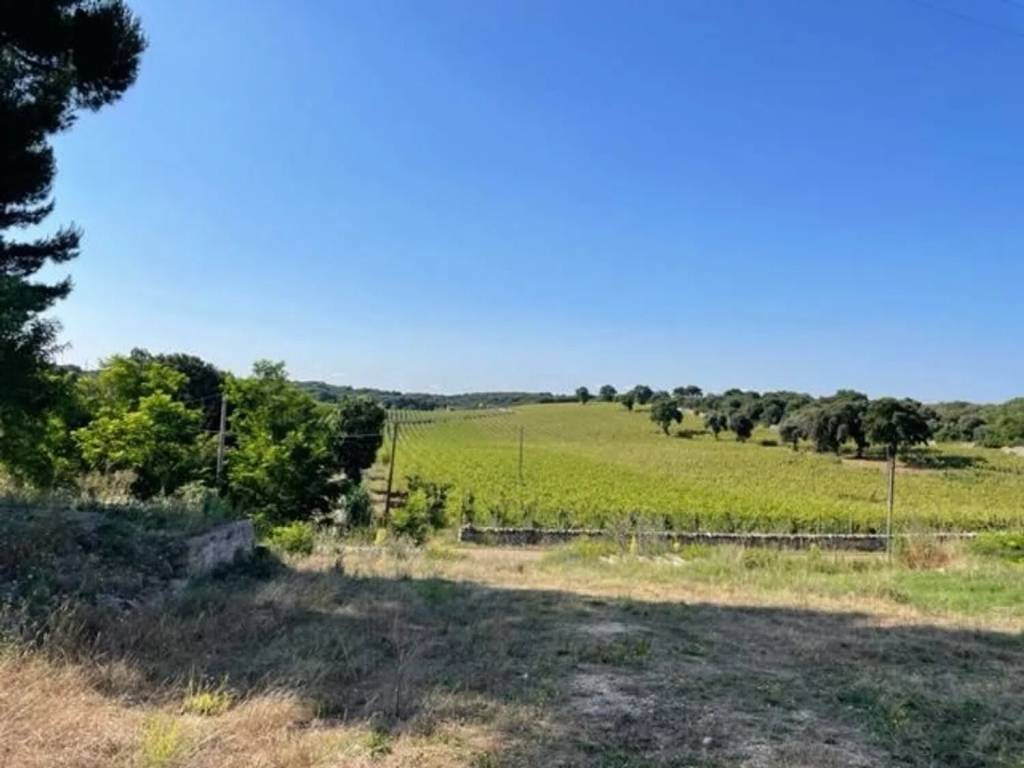 Rustico / casale a Martina franca in Contrada Trazzonara - Foto 4