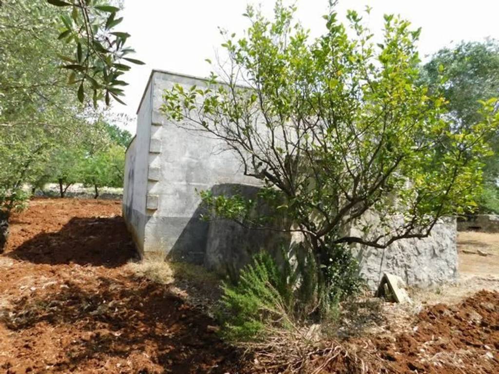 Rustico / casale a Ceglie messapica in Contrada Scuole Pie - Foto 5