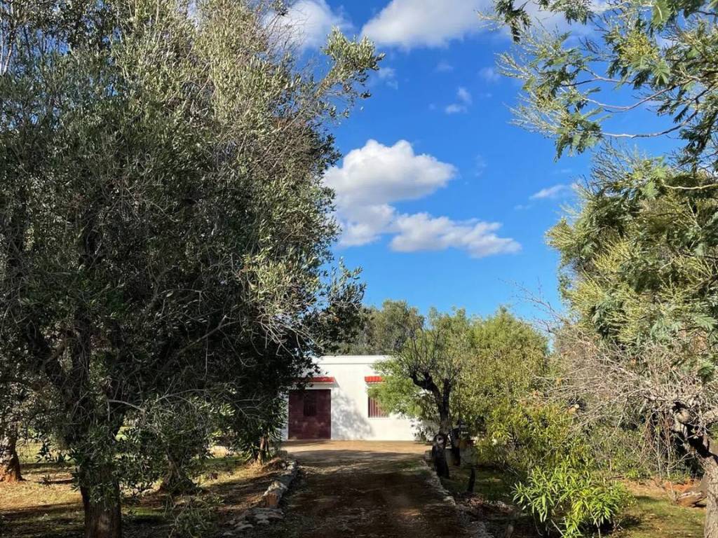 Rustico / casale a Ceglie messapica in Madonna Piccola - Foto 2