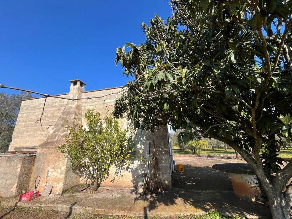 Villa a San michele salentino in Contrada Cotogni - Foto 4