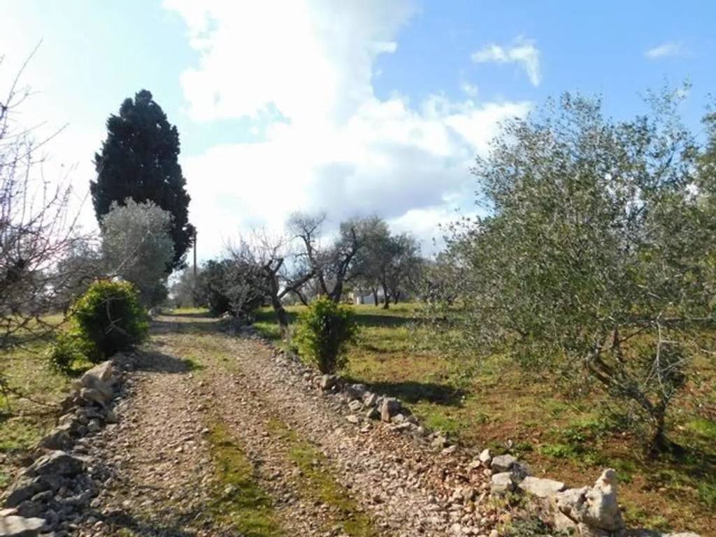 Rustico / casale a Ceglie messapica in Contrada Falascuso - Foto 4