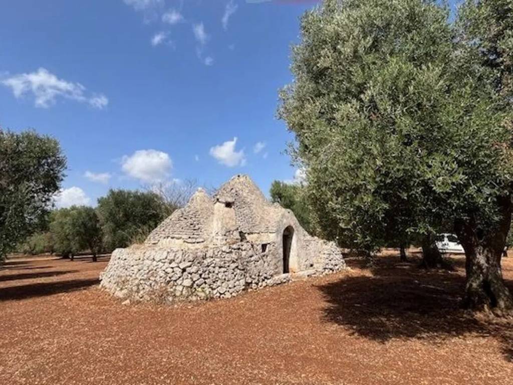 Rustico / casale a Ostuni in Contrada Pezza Di Ferro - Foto 2