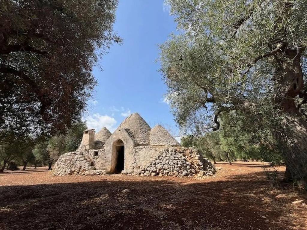 Rustico / casale a Ostuni in Contrada Pezza Di Ferro - Foto 3
