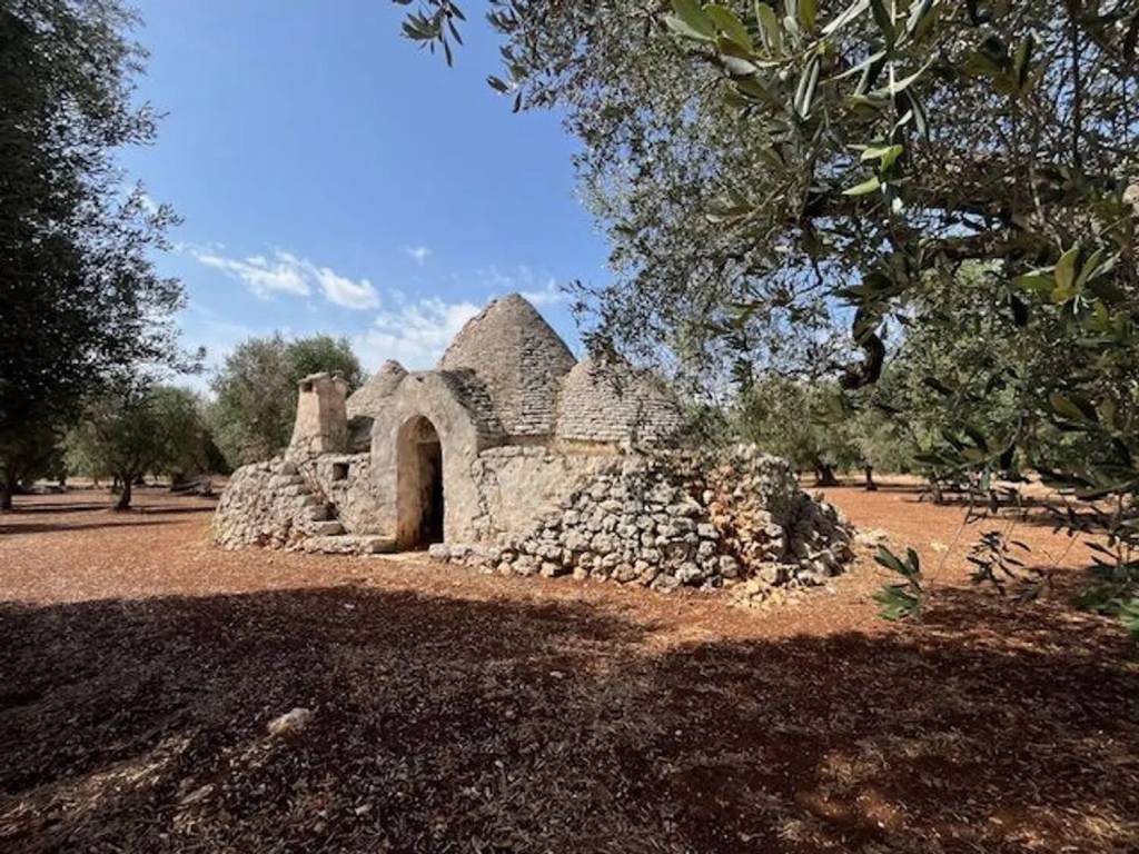 Rustico / casale a Ostuni in Contrada Pezza Di Ferro - Foto 4