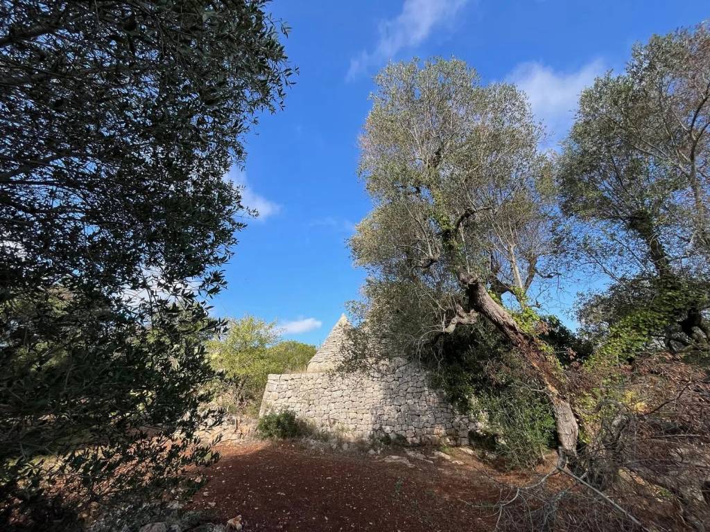 Rustico / casale a Brindisi in Contrada Turco Camarda - Foto 5