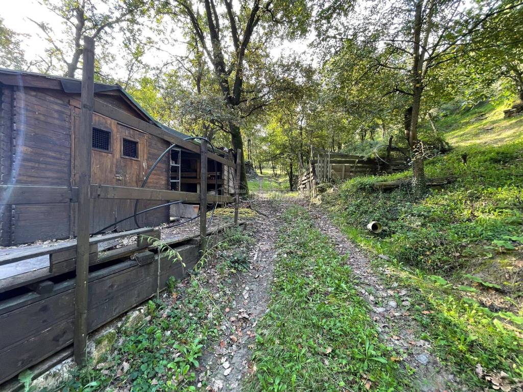 Terreno a Scandiano in Via Colombaia, 4 - Foto 4