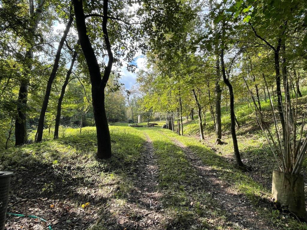 Terreno a Scandiano in Via Colombaia, 4 - Foto 5