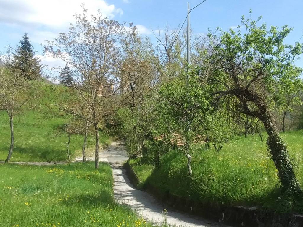 Casa indipendente a Varese ligure in Località Codivara, 24 - Foto 5