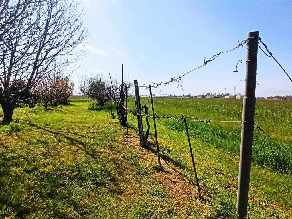 Villa a San felice sul panaro in Via Granarolo - Foto 3