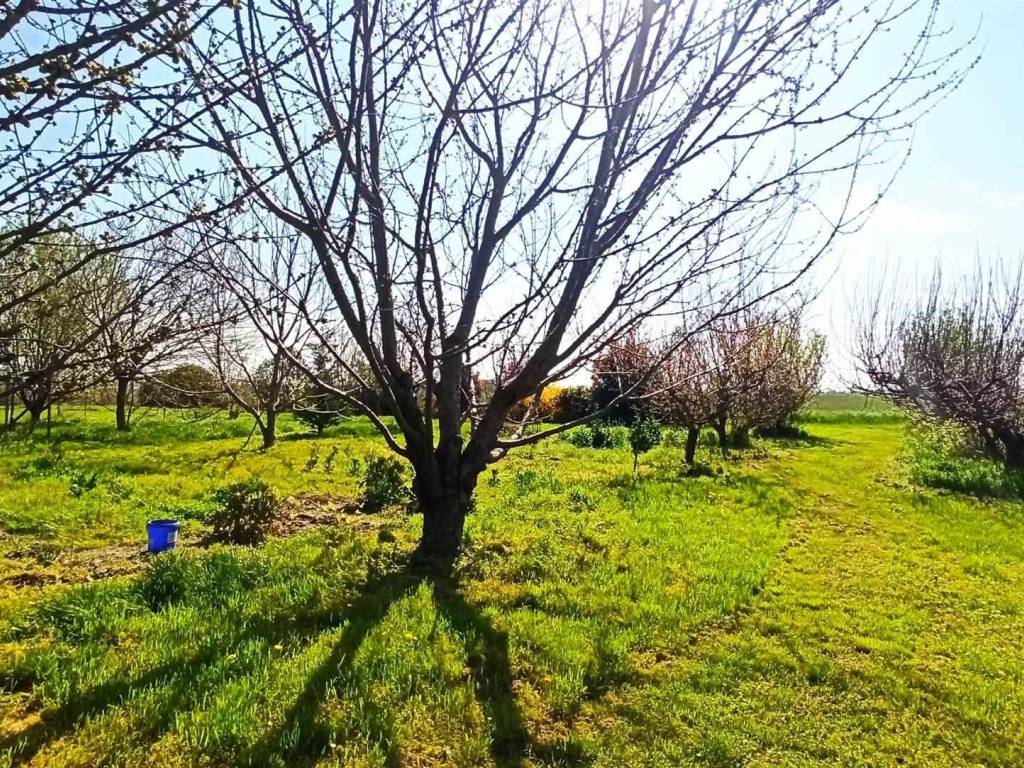 Villa a San felice sul panaro in Via Granarolo - Foto 4