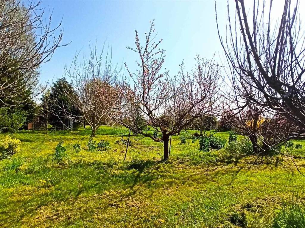 Villa a San felice sul panaro in Via Granarolo - Foto 5