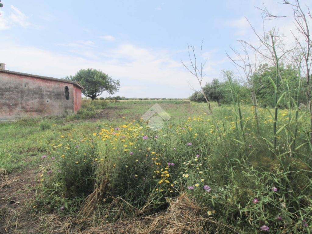 Terreno a Isola di capo rizzuto in Località Santa Domenica - Foto 3
