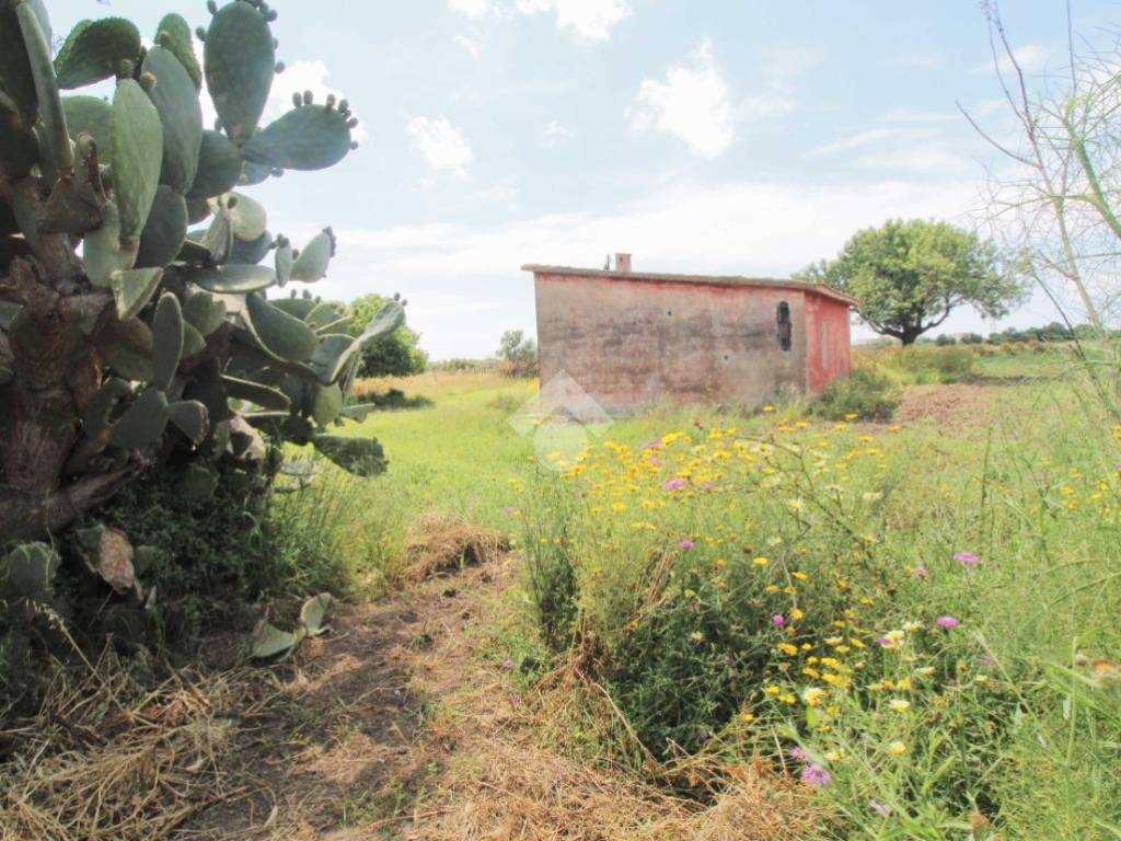 Terreno a Isola di capo rizzuto in Località Santa Domenica - Foto 4